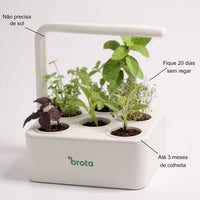 Horta Inteligente com Iluminação Artificial LED-Brota