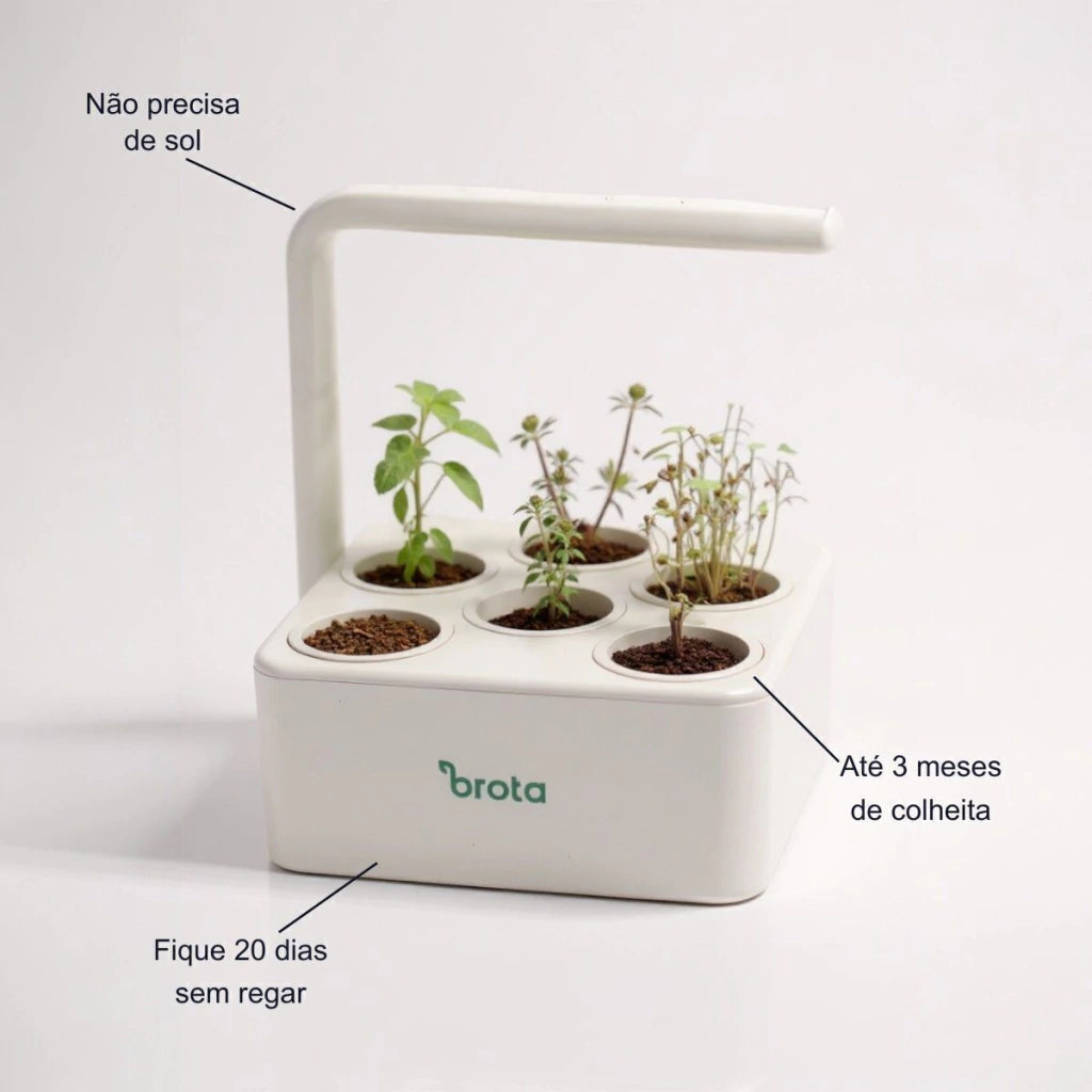 Horta Inteligente com Iluminação Artificial LED-Brota