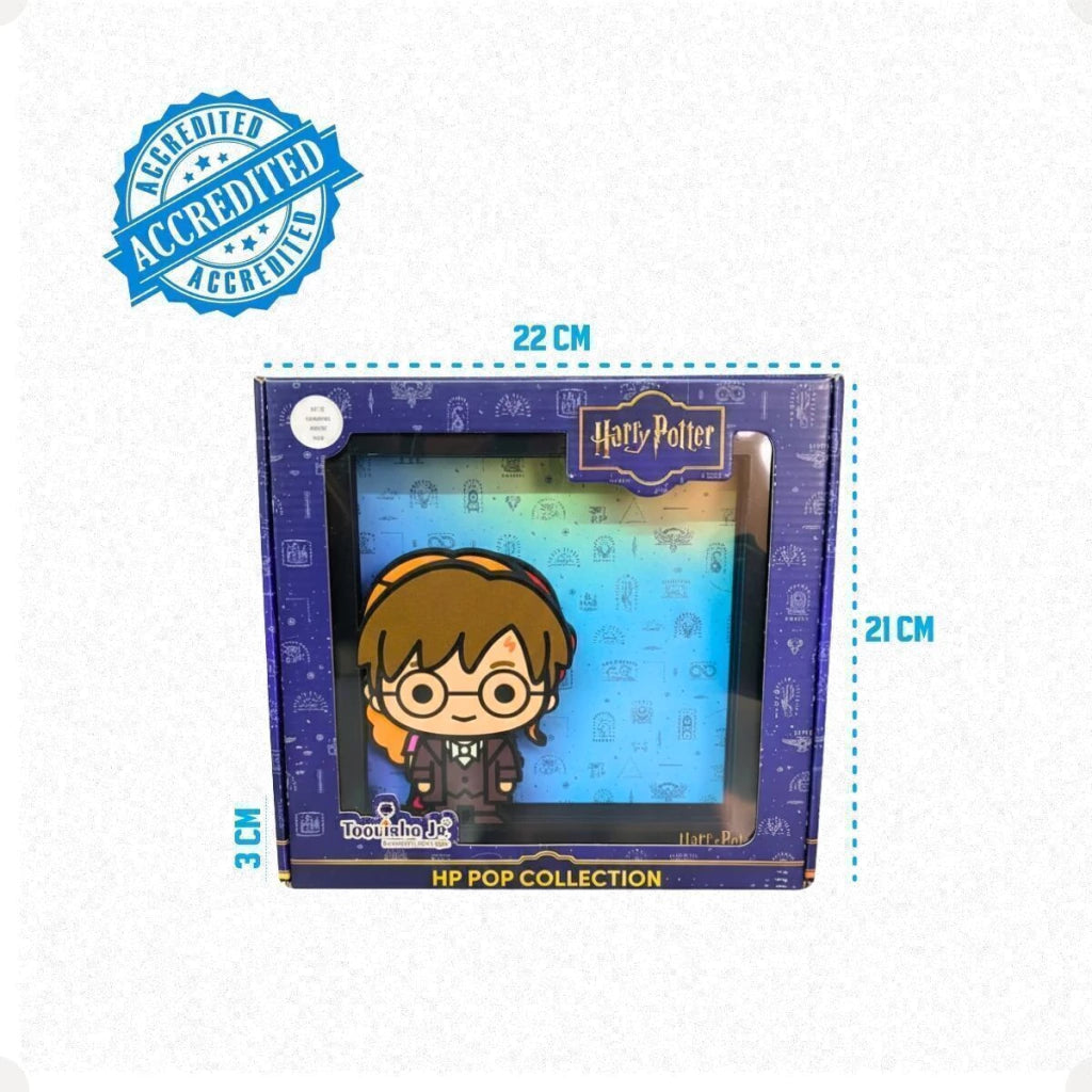 Conjunto de Quadros Harry Potter Pop Collection – 3 Peças
