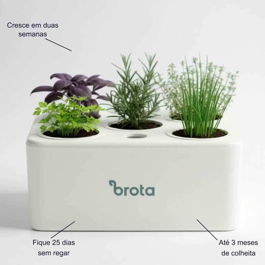 Horta Inteligente Brota Clássica